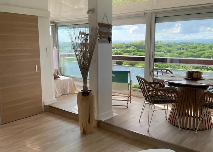 Vue panoramique pour ce grand studio en centre ville